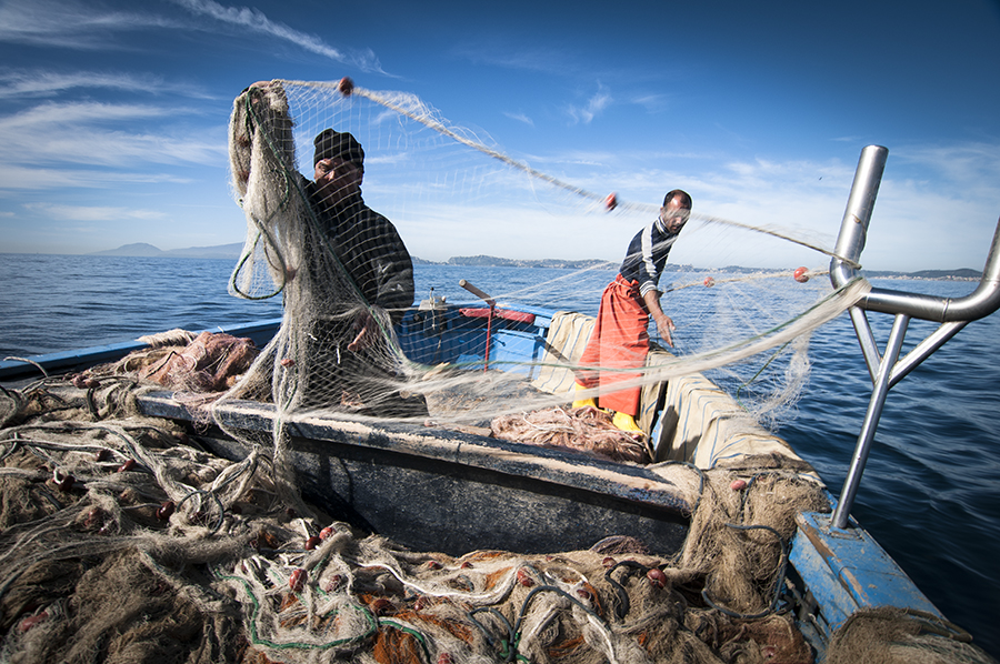 Una panoramica sull’esercizio del diritto di pesca nelle acque UK e dell’UE a seguito della Brexit