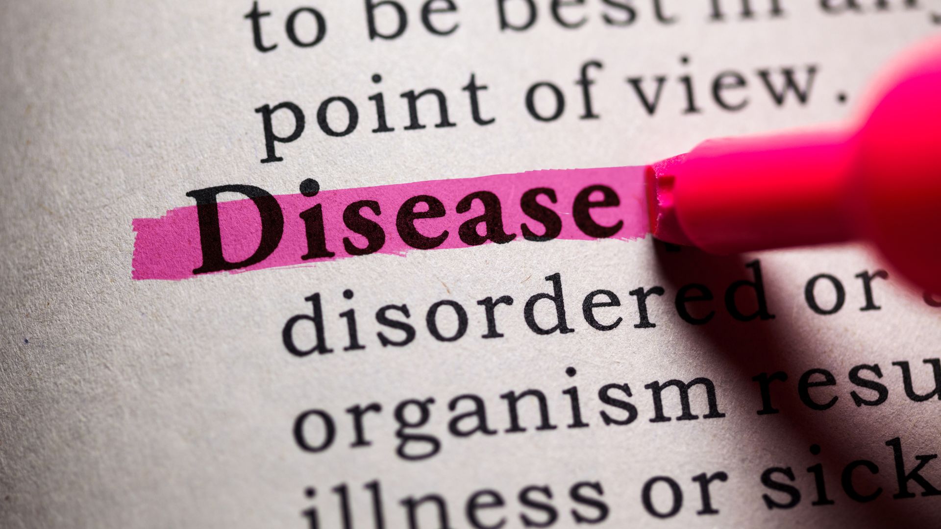 La nuova “Infectious or Contagious Diseases Clause” proposta da BIMCO per i time charter-parties