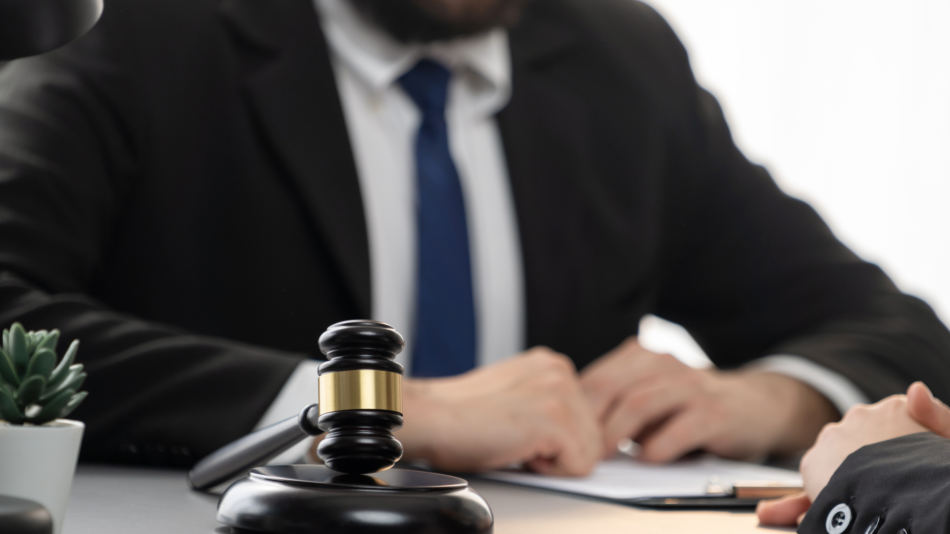 L’ambiente marino e la nuova Direttiva Europea sui reati ambientali