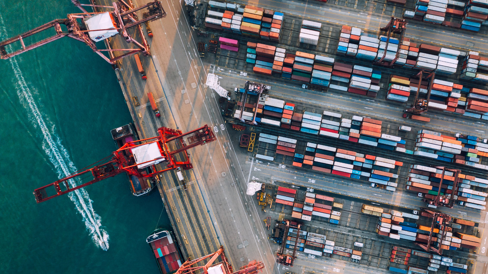 Semplificazione delle procedure di arruolamento dei membri degli equipaggi nei porti nazionali